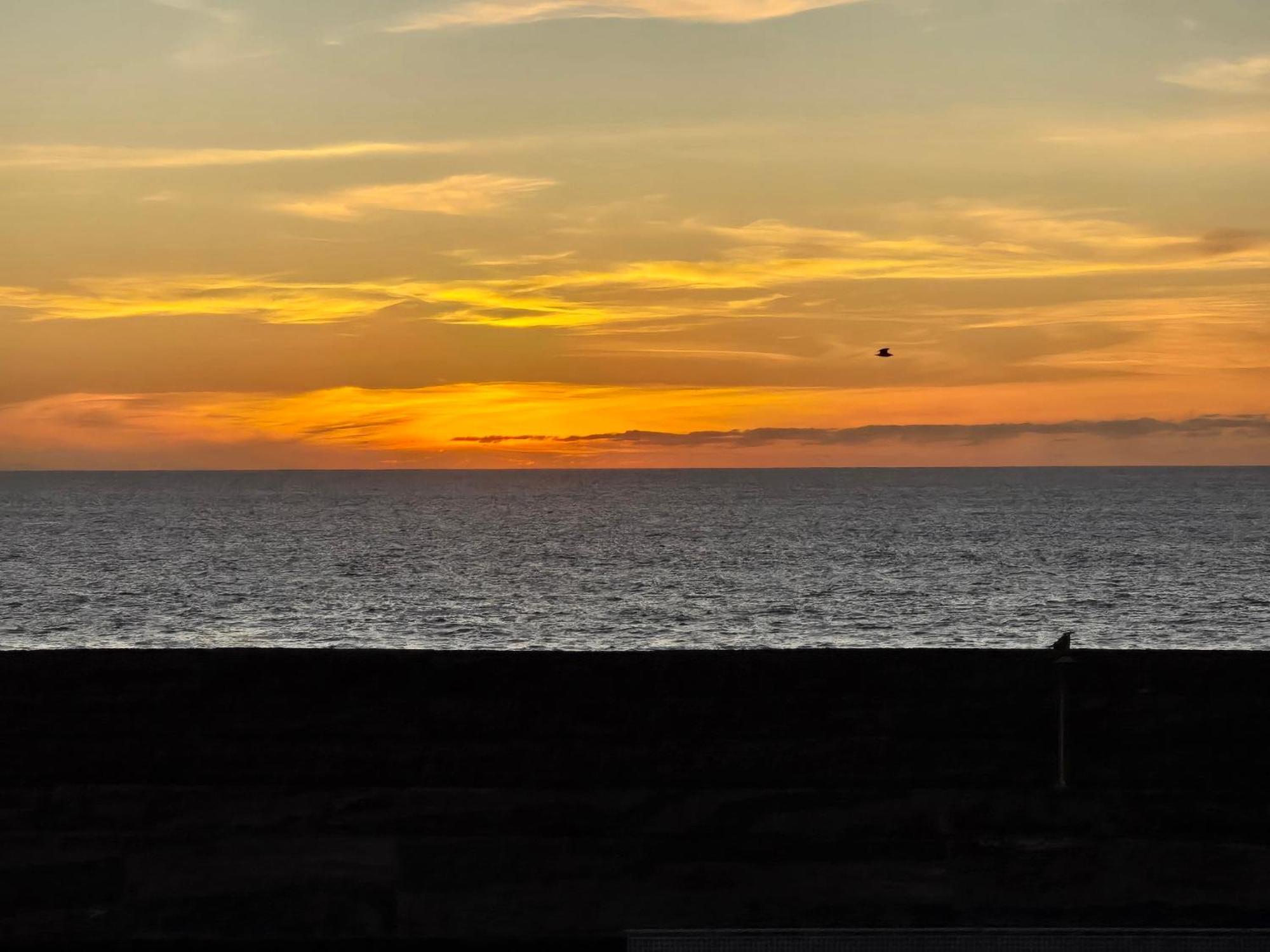 Natural Amanecer Zen